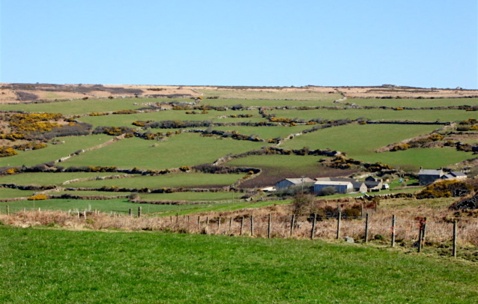 Bronze Age field system in West Penwith Area of Outstanding Natural Beauty
